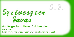 szilveszter havas business card